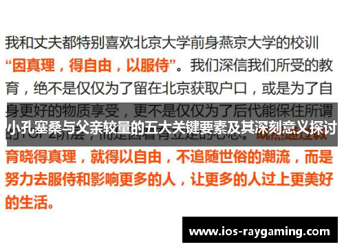 小孔塞桑与父亲较量的五大关键要素及其深刻意义探讨