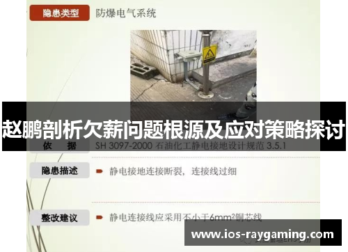 赵鹏剖析欠薪问题根源及应对策略探讨