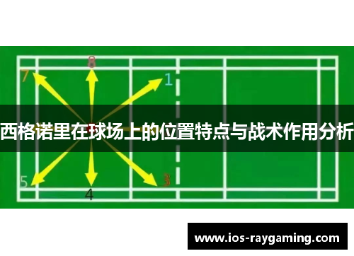 西格诺里在球场上的位置特点与战术作用分析