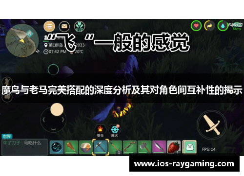 魔鸟与老马完美搭配的深度分析及其对角色间互补性的揭示
