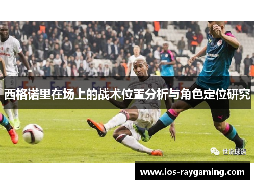 西格诺里在场上的战术位置分析与角色定位研究