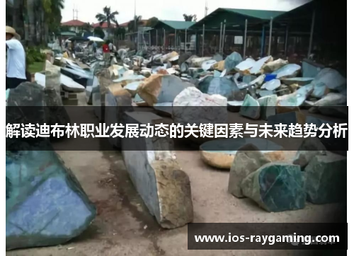 解读迪布林职业发展动态的关键因素与未来趋势分析